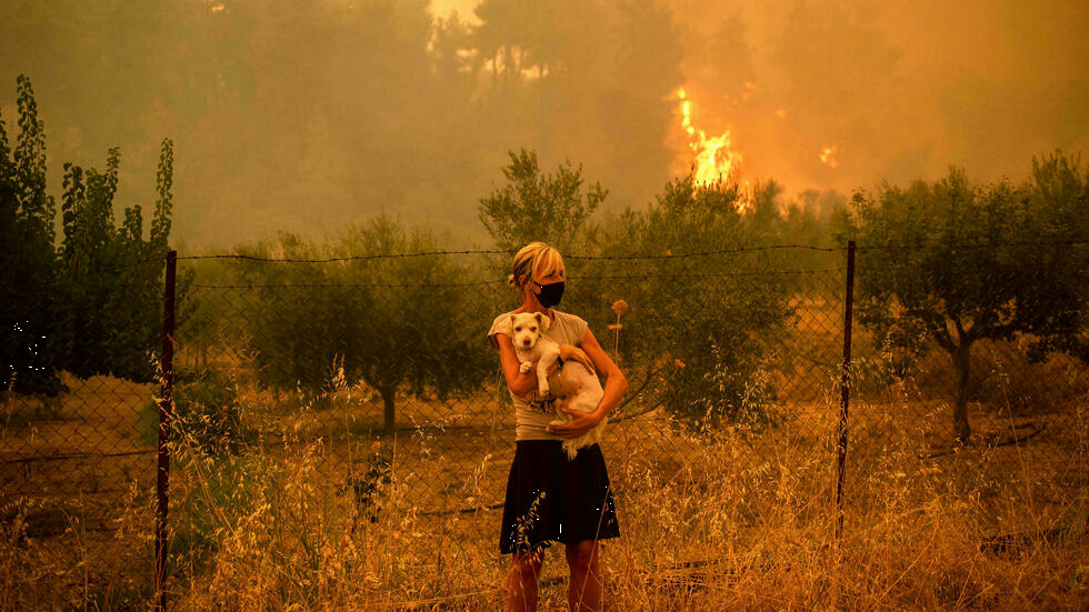 Voluntarios se movilizan en Grecia para cuidar a gatos y perros tras los incendios