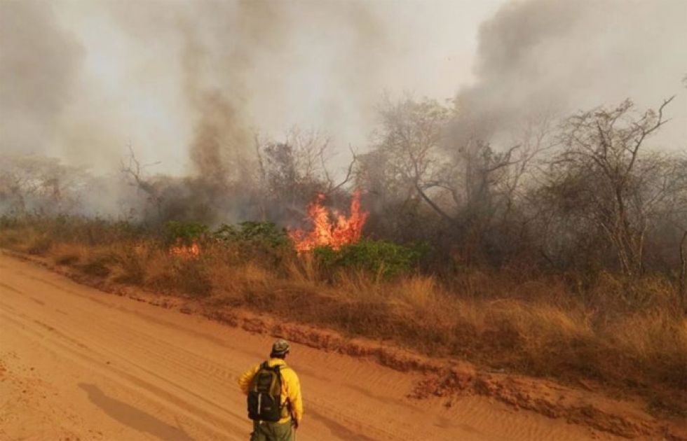 Enviarán 200 policías para coadyuvar a las tareas de control de incendios en Chiquitania