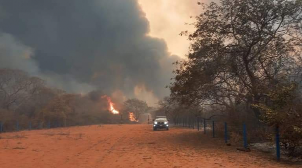 Reportan que 734.568 hectáreas en todo el país quedaron afectadas por incendios forestales