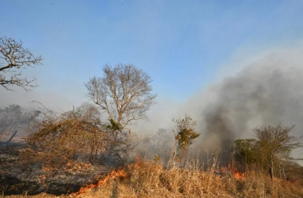Incendios provocados devastan reservas ecológicas en Bolivia