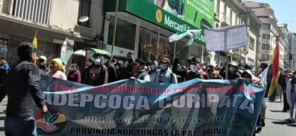 Adepcoca de Armin Lluta reactiva protestas para que el Gobierno atienda sus demandas