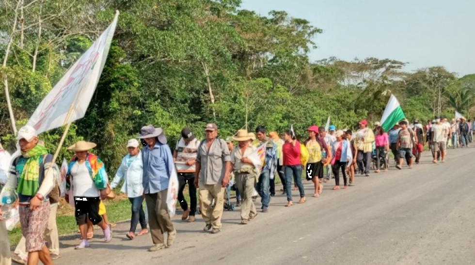 Once días de marcha: indígenas presentan malestares y cansancio