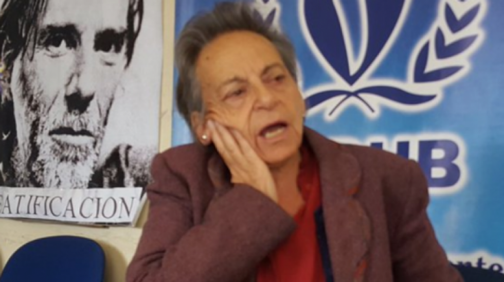 Viceministro Cox acusa a Amparo Carvajal de incitar a delinquir y a rearticular la RJC
