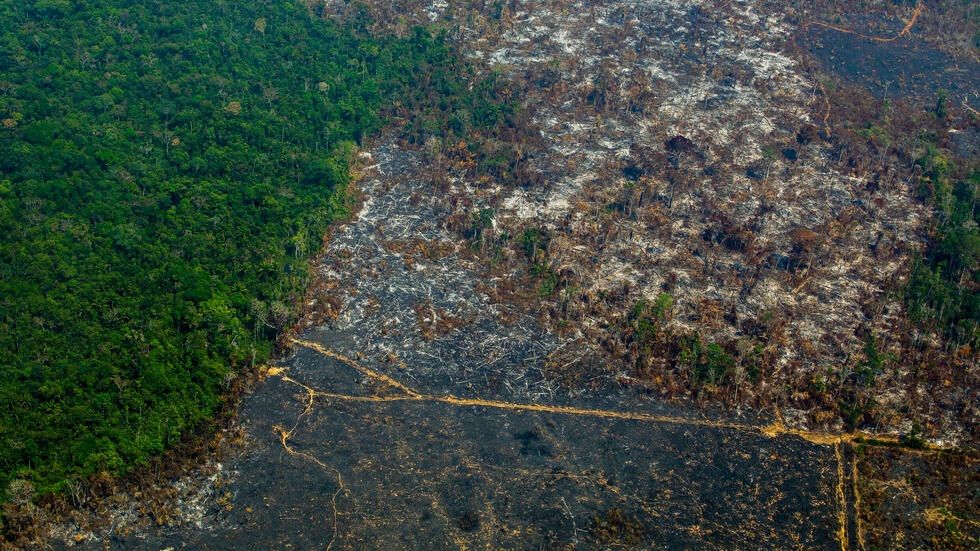 La UICN aprueba una moción que pide preservar el 80% de la cuenca amazónica de aquí a 2025