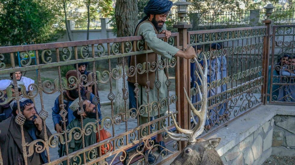 Niños sonrientes, helados y talibanes con Kaláshnikovs en el zoo de Kabul