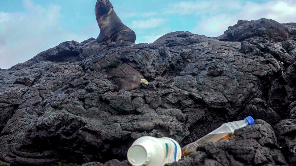 Recolectan 1.627 kilos de desechos en las islas ecuatorianas de Galápagos