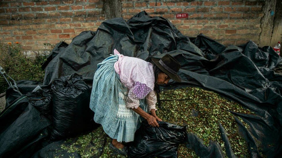 Los cocaleros peruanos, atrapados entre Sendero Luminoso y los narcos