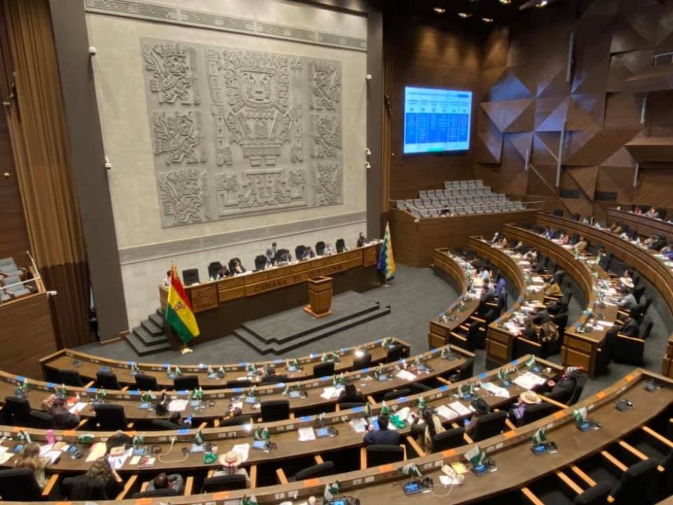 Diputados aprueba proyecto de ley que faculta al Gobierno hacerse cargo del registro de comercio