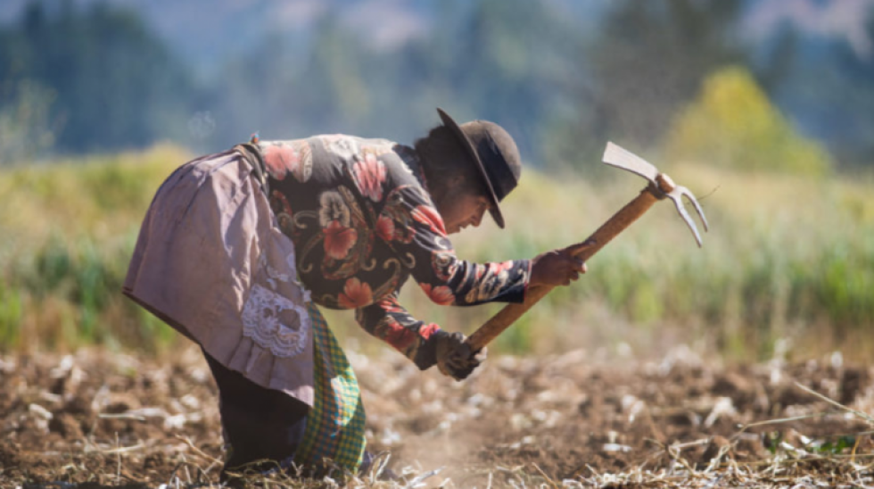 La crisis climática tiende a causar más hambre y las pequeñas comunidades agricultoras son las más afectadas