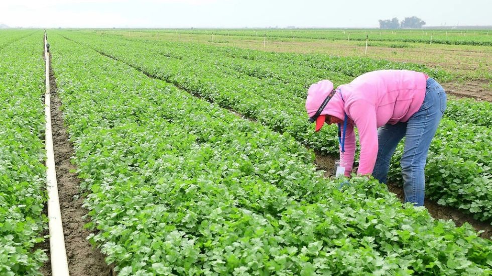 El calor extremo amenaza a los trabajadores y la economía de EEUU