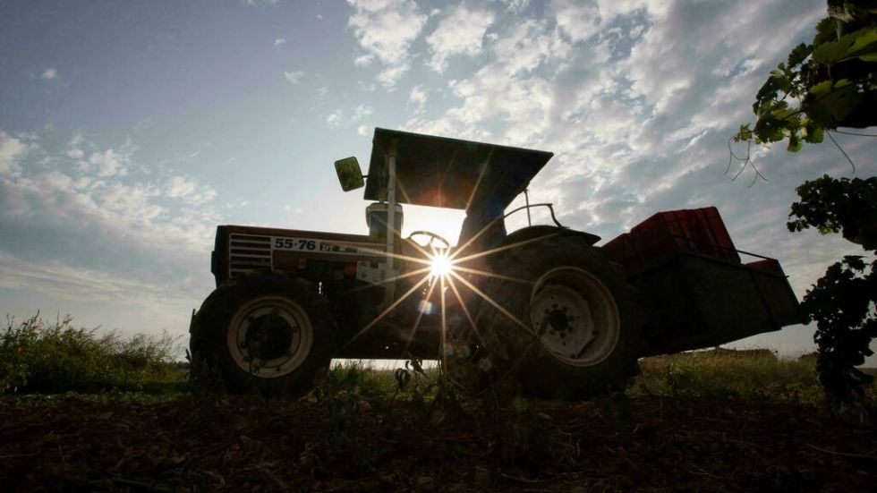 La economía española acelera su crecimiento sin alcanzar las expectativas