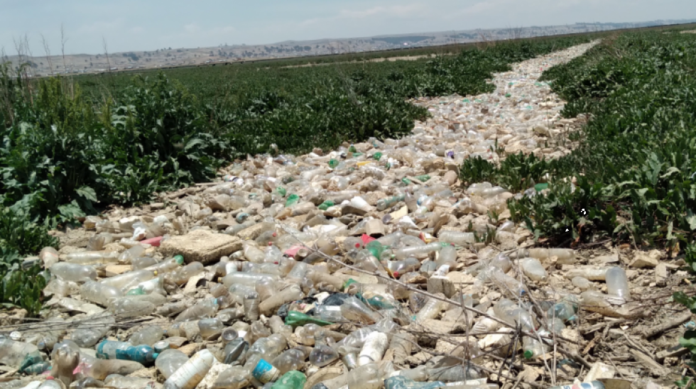 Hallan kilómetros de plástico y basura en el río Katari, cauce que desemboca al Titicaca