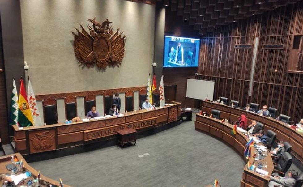 El Senado sanciona ley del Plan de Desarrollo Económico y Social 2021-2025
