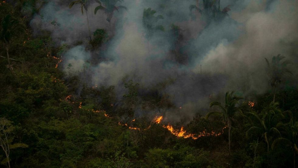 La Amazonía, castigada y al borde del abismo