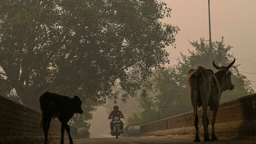 Nueva Delhi está bajo una densa neblina tóxica tras la fiesta de Diwali