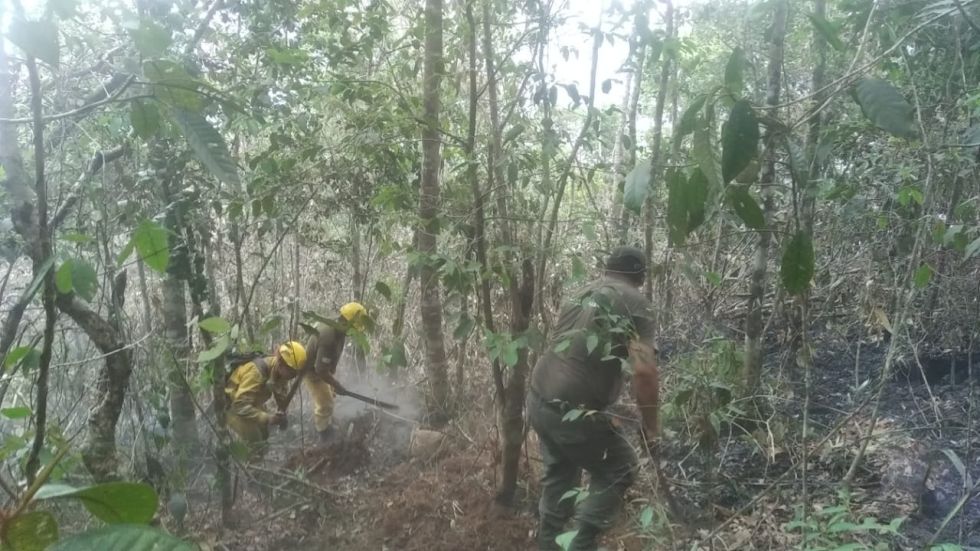 Defensa Civil afirma que el incendio forestal en la serranía Pilón Lajas fue extinguido