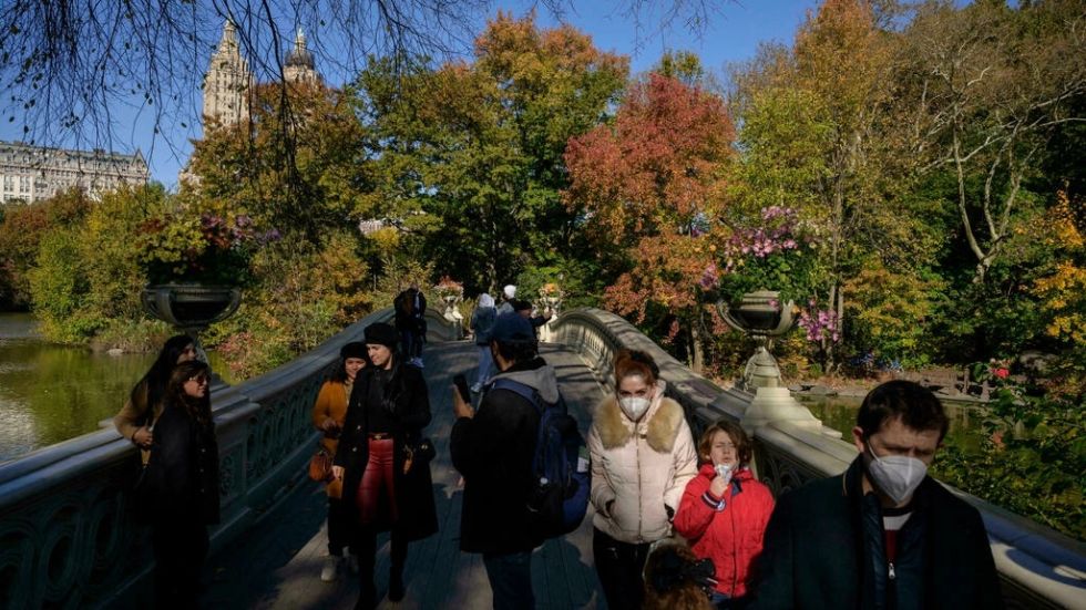 El cambio climático amenaza los colores de los bosques en otoño en América del Norte