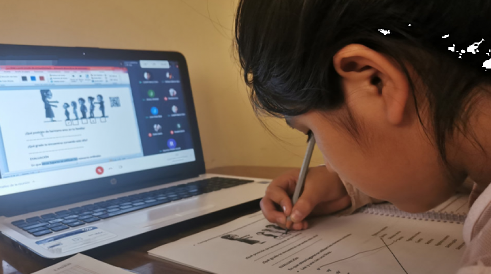 Concejo Municipal aprueba una ley para que estudiantes accedan a internet gratuito en La Paz