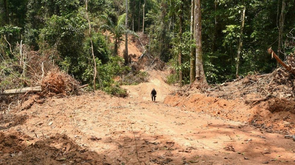 Brasil registra deforestación récord en la Amazonía en últimos 15 años