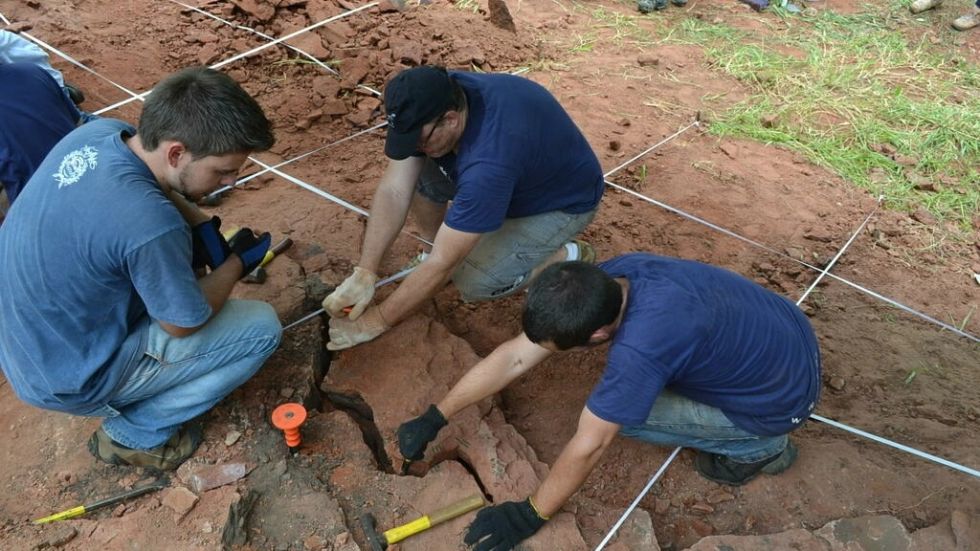 Descubren una nueva especie de dinosaurio "muy raro" en Brasil