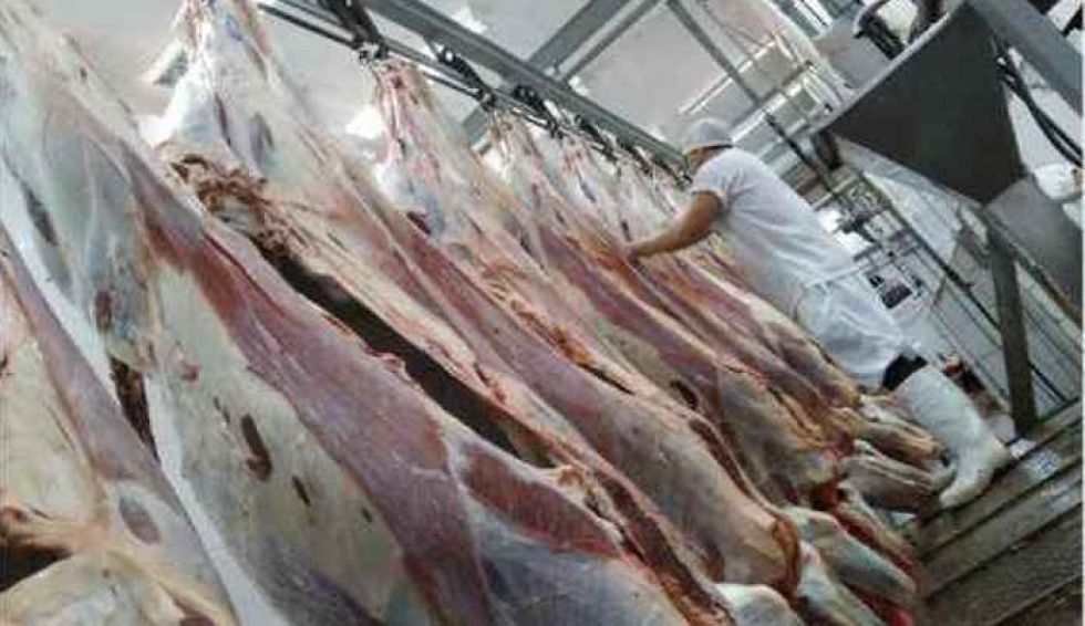 Advierten que la carne de res sube de precio en tres departamentos y en el resto será paulatino