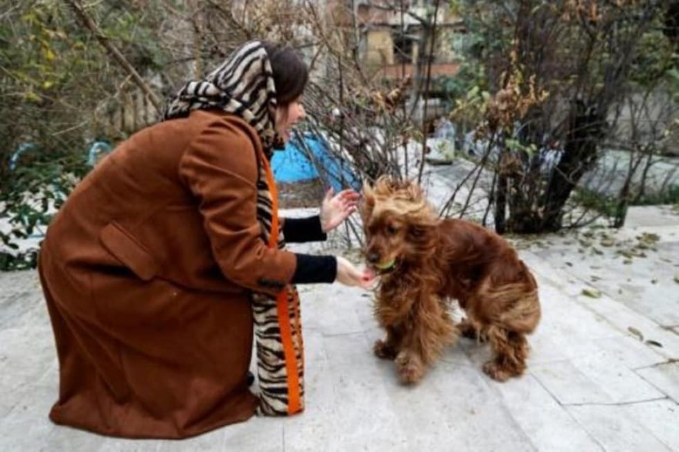 Hay enfado en Irán por una propuesta para prohibir las mascotas