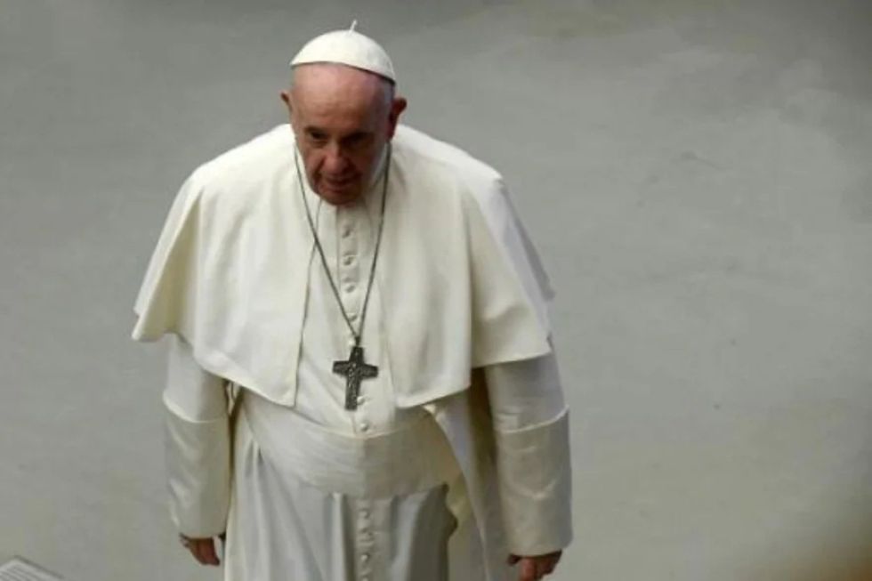 El Papa lamenta que los animales domésticos remplacen a los hijos