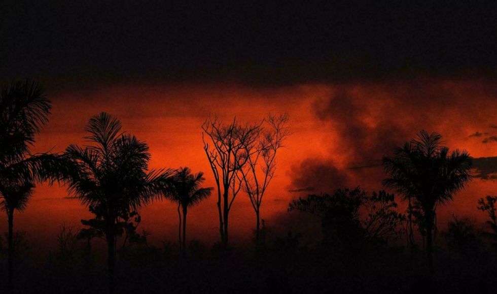 La deforestación de la Amazonía brasileña alcanza récord en enero