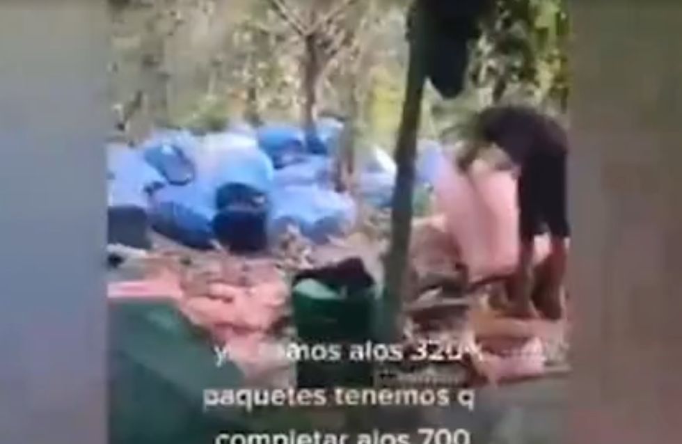 La Fiscalía activa investigación de videos de jóvenes relacionados con actividades del narcotráfico