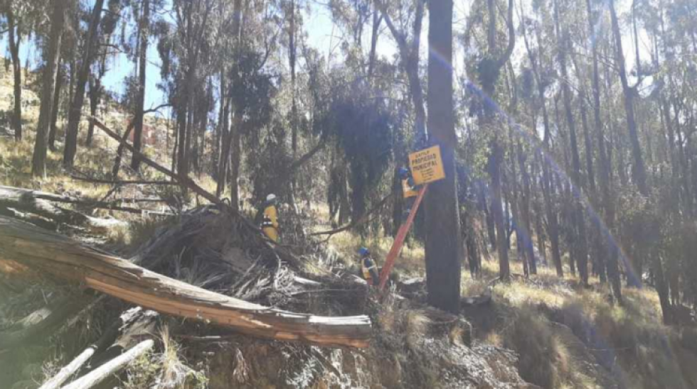 La Paz: En menos de tresdías encuentran 3 cuerpos en Pura Pura