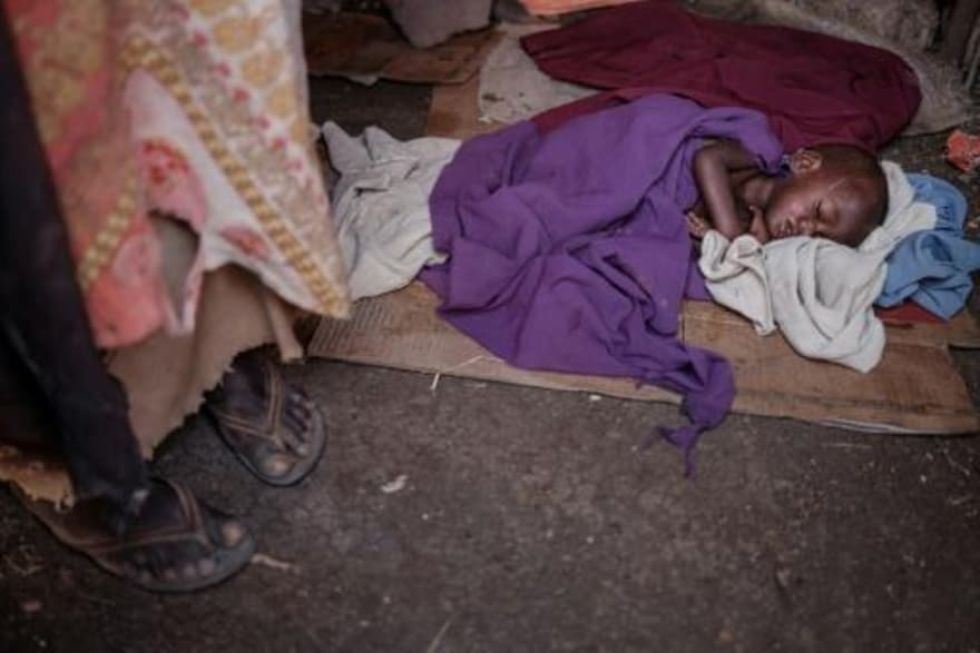 En el Cuerno de África, la sequía deja a 13 millones de personas amenazadas por el hambre