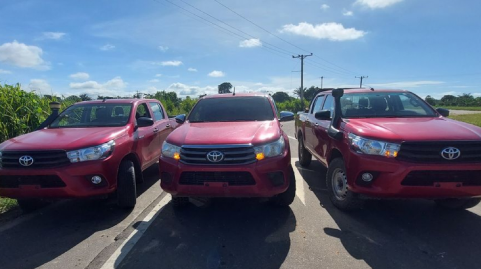 Senador Loza ratifica que no habrá nacionalización de autos ilegales