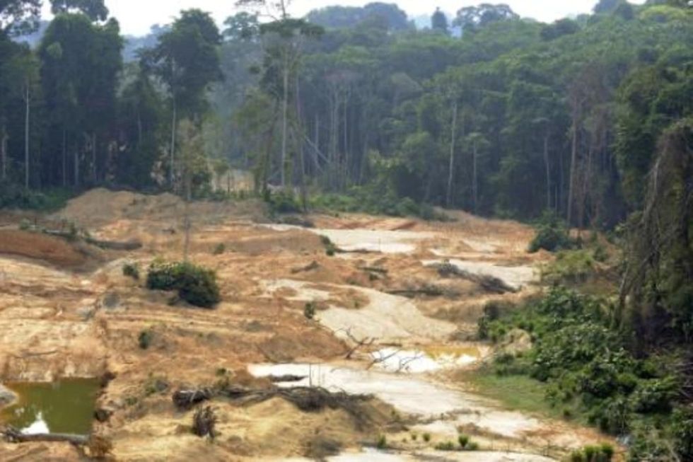 Deforestación de la Amazonía brasileña marca nuevo récord para febrero