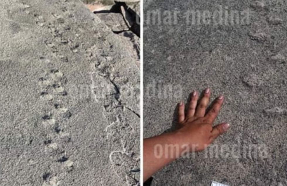 Encuentran en Sucre huellas que serían de pequeños animales prehistóricos