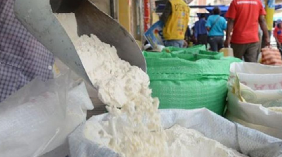 Probioma: el conflicto de la harina refleja la carencia de políticas para garantizar seguridad alimentaria