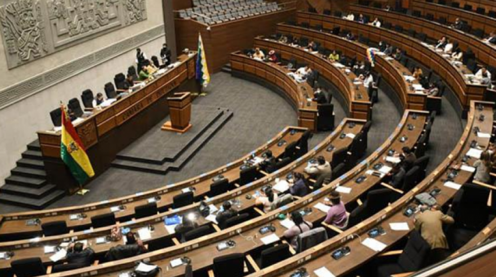 Denuncian que diputados del MAS usan fragmentos del Wikipedia para la ley de defensores de la democracia