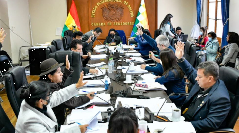 Defensoría del Pueblo: En el MAS dicen que no hubo acuerdo con oposición y Creemos apoyará los dos tercios