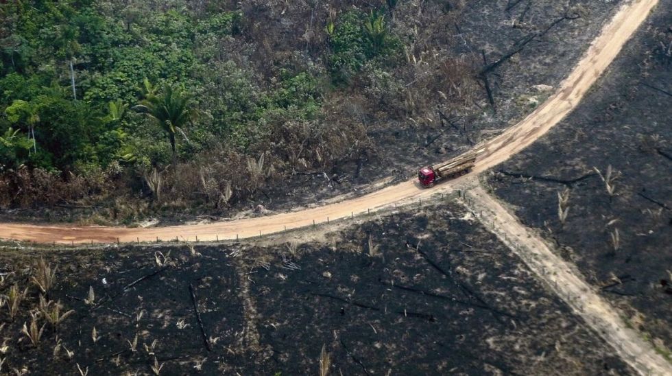 Brasil responde a menos del 3% de las alertas de deforestación, según informe