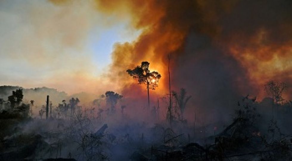 Amazonia brasileña registra deforestación récord para mes de abril