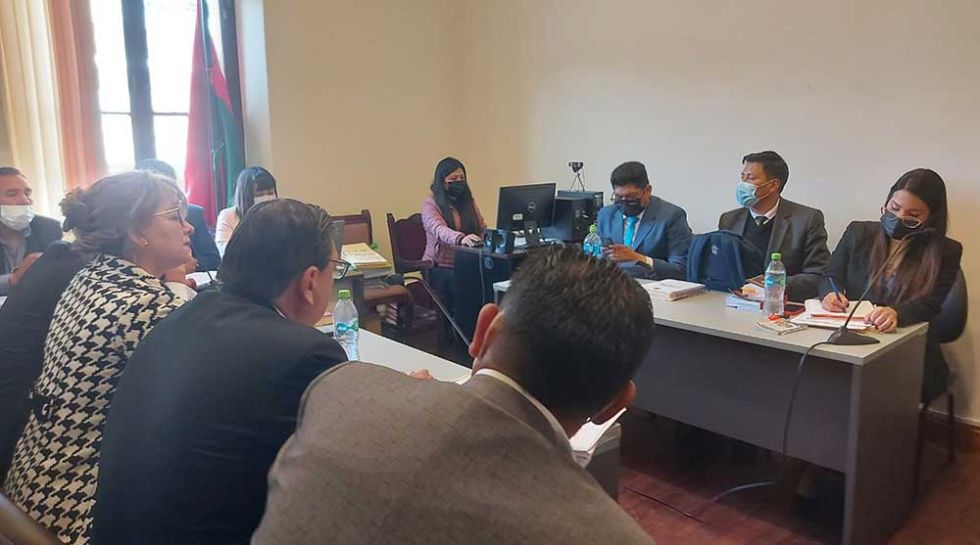 Tribunal de La Paz rechaza ‘de forma unánime’ recurso de inconstitucionalidad de Añez y ahora pasa al TCP