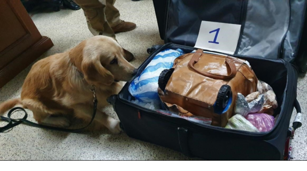 Boliviana pretendía traficar droga a Panamá en un termo con salteñas, fue detenida en el aeropuerto