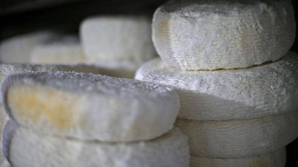 Leve bajada de los precios mundiales de los alimentos, pero el trigo sigue en alza