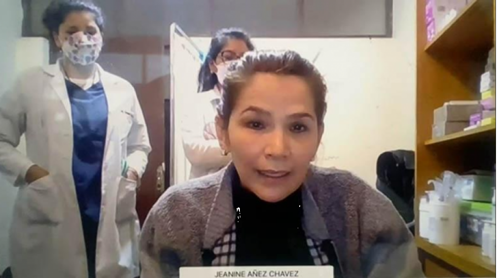 Tribunal Constitucional rechaza solicitud de enmienda presentada por Jeanine Añez