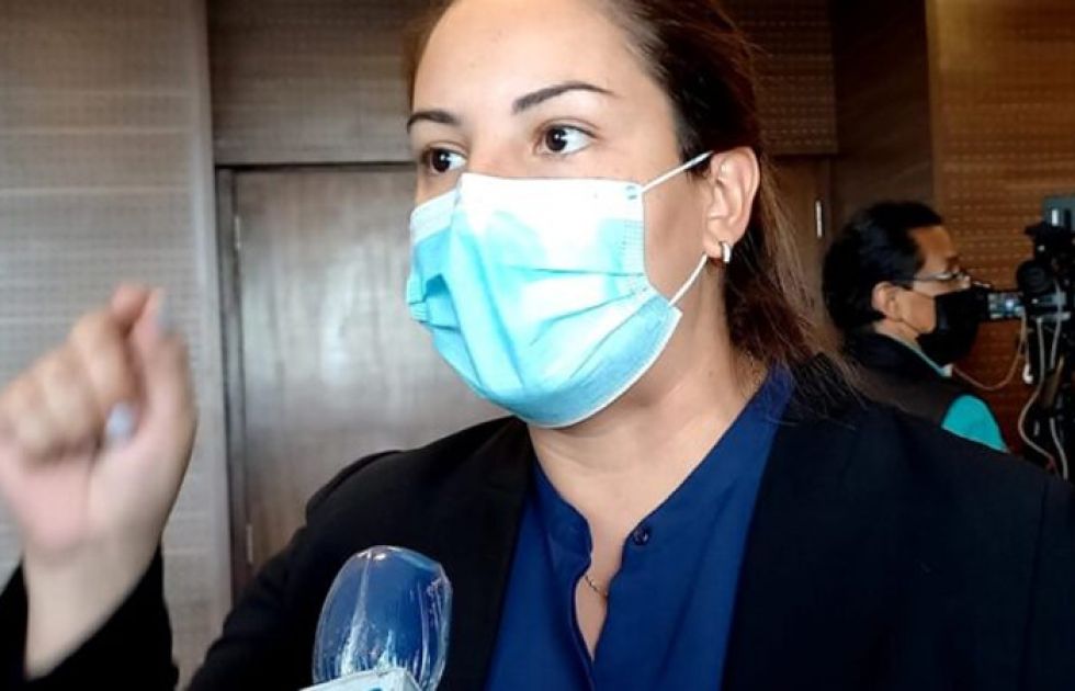 Bancada de Creemos pide a comunidad internacional que rechace sentencia contra Añez