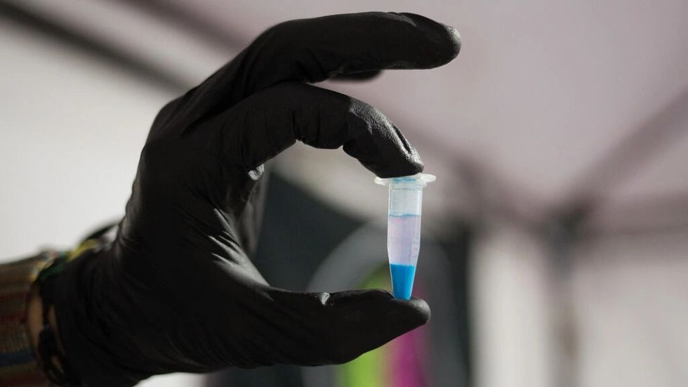 La oferta y el consumo de drogas en Europa alcanza niveles anteriores a la pandemia
