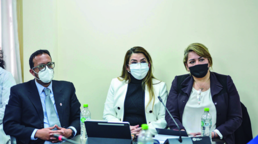 Áñez cita ejemplos de cómo la justicia le negó un debido proceso para acelerar su sentencia