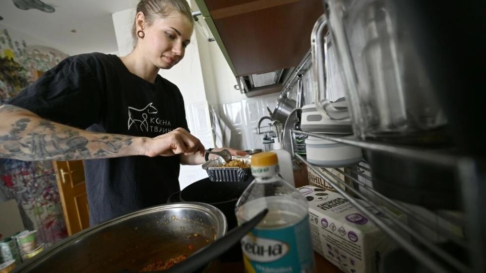 Red de voluntarios para soldados ucranianos veganos en el frente contra Rusia