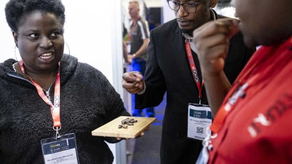 Empresa sudafricana quiere convertir las orugas de mopane en un plato sabroso y nutritivo