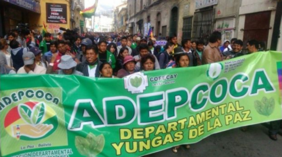 Adepcoca concentra hoy a sus bases para obligar el cierre del mercado paralelo de coca