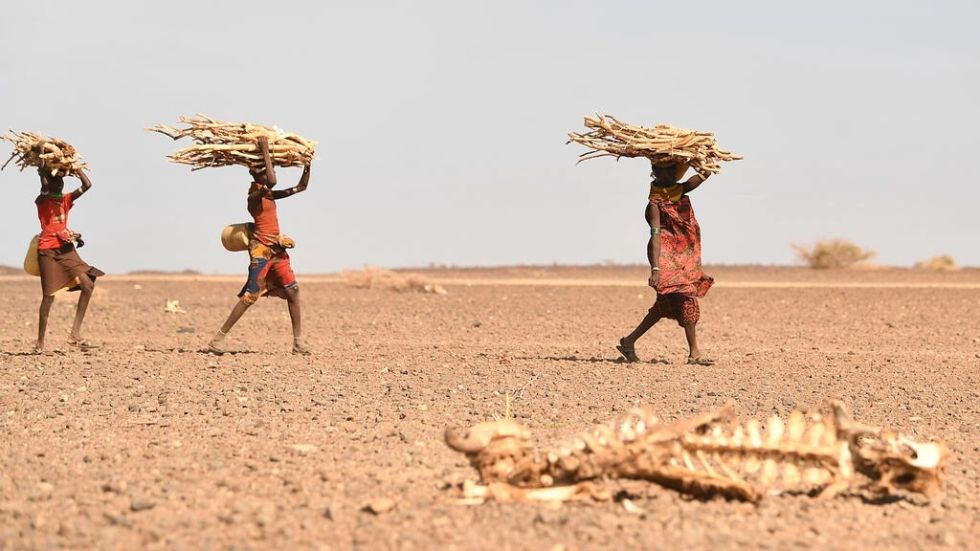Kenia se prepara para votar mientras ignora la sequía que tiene a millones con hambre
